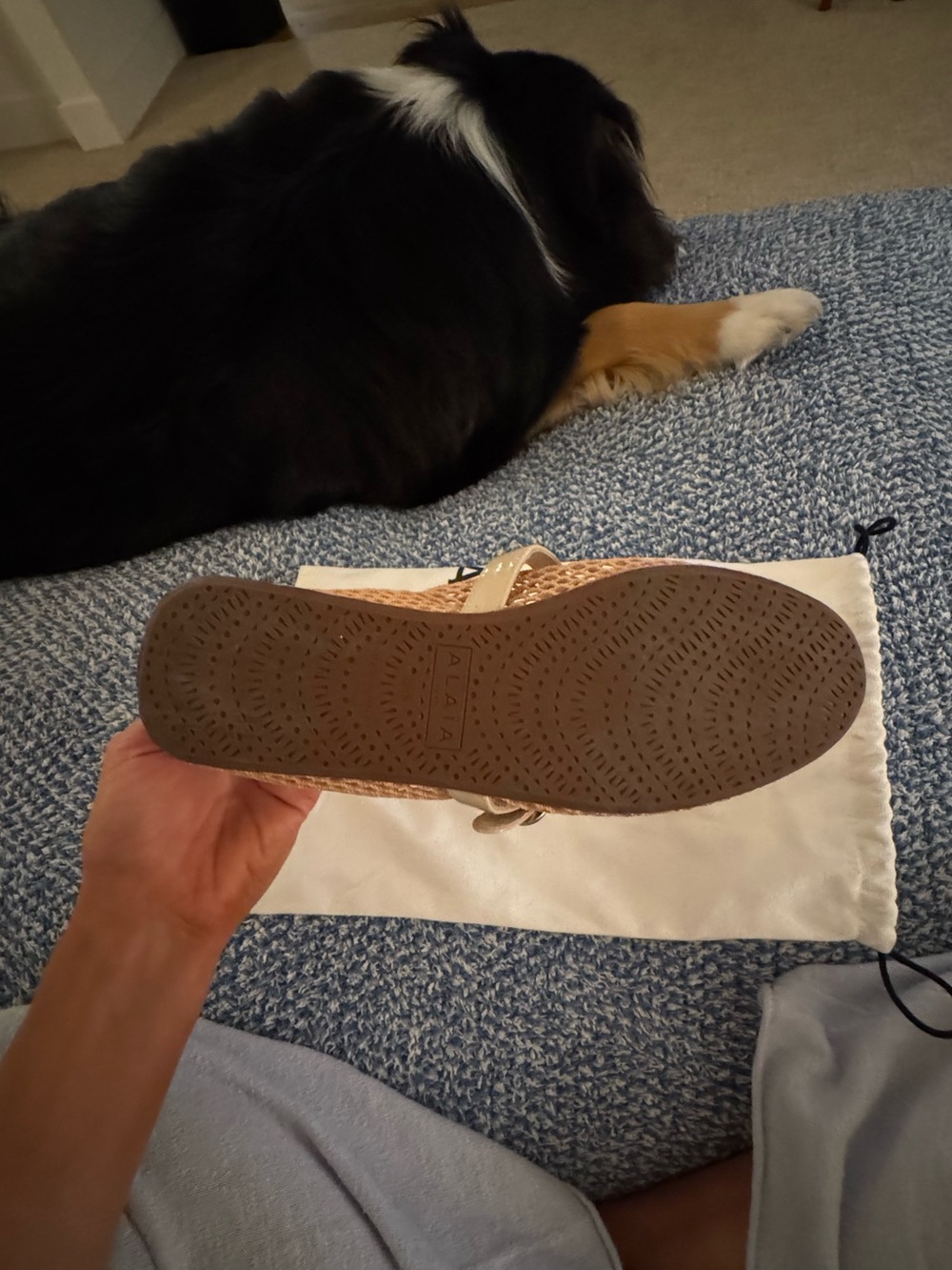 Alaïa Fishnet Ballerina Flat - Picture 12 of 13